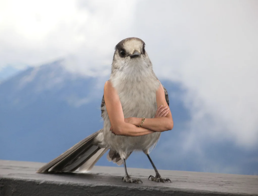 A bird perches on a ledge with human arms crossed on its chest. The background features a mountain and a cloudy sky, creating a humorous and surreal scene.