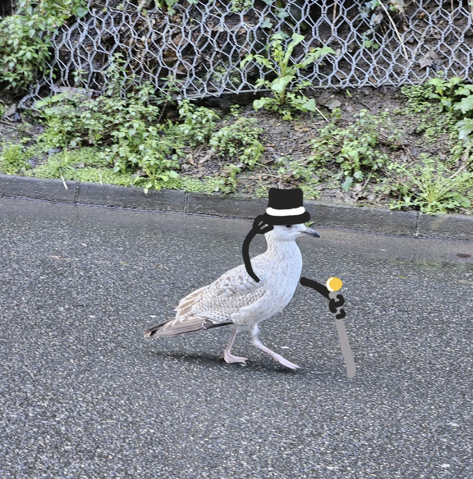 A bird walks on a wet surface with a digitally added black top hat, a monocle over one eye, and a cane with a yellow tip. The background features a mesh wire fence with greenery growing through it.