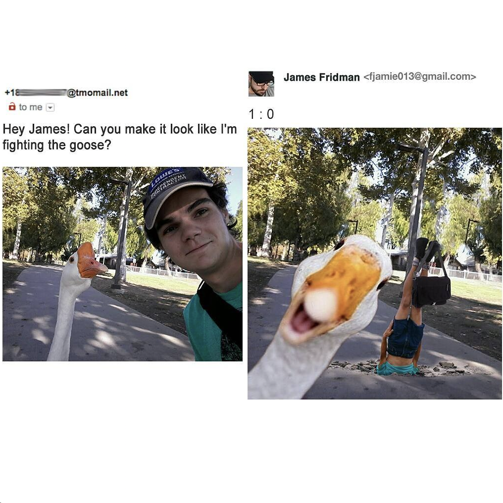 Two image collage. Left: A man takes a selfie with a goose in a park. Right: Edited photo by James Fridman showing the man hanging upside down from a tree while the goose appears close to the camera with a victorious look. Text above: "Hey James! Can you make it look like I'm fighting the goose?" and "1:0," indicating the goose won.