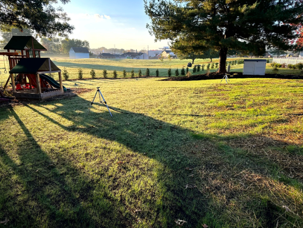 A sunny backyard with a playset on the left, casting long shadows. The center and right side feature a lawn with a cable running through the grass and a tree providing shade. A row of small bushes lines the back, with a white shed in the distance.