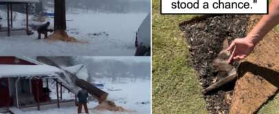 Left images: A split image shows the sequence of a man cutting down a tree that crashes onto a house; captions read "I got this, honey." Right image: A hand holding a dead gopher uprooted with a large piece of sod; caption reads "The sod never stood a chance.