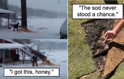 Left images: A split image shows the sequence of a man cutting down a tree that crashes onto a house; captions read "I got this, honey." Right image: A hand holding a dead gopher uprooted with a large piece of sod; caption reads "The sod never stood a chance.