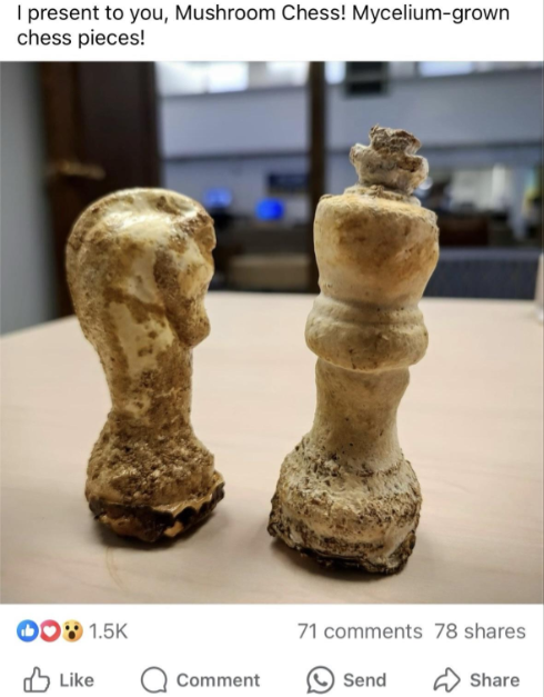 A Facebook post features two intricately carved chess pieces, purportedly made from mycelium. The caption reads, "I present to you, Mushroom Chess! Mycelium-grown chess pieces!" The post has 1.5K likes, several reaction emojis, 71 comments, and 78 shares.