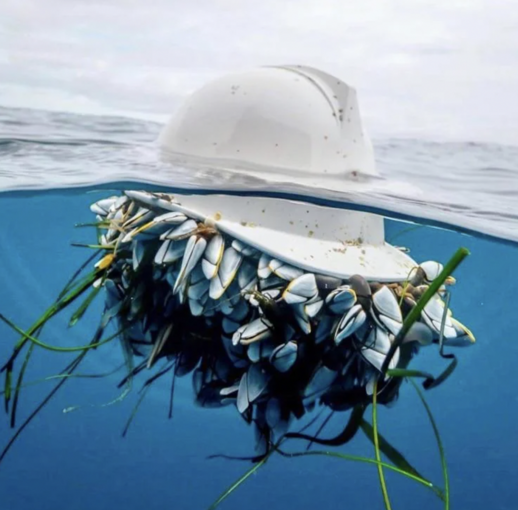 A white hard hat floating in the ocean is partially submerged, with barnacles and seaweed attached to its underside. The calm water reflects the sky above, creating a serene yet surreal scene.