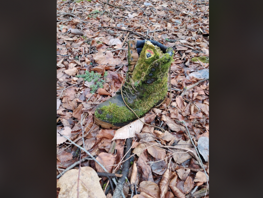 A single boot, covered in moss, lies on a forest floor filled with dry brown leaves and small twigs. The boot laces are untied, giving it a weathered and abandoned appearance amidst the woodland setting.