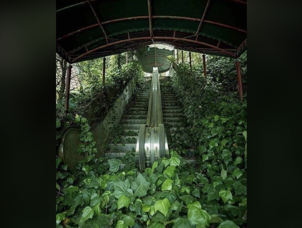 An abandoned escalator surrounded by lush green ivy under a dilapidated metal roof. The vegetation has overgrown the escalator steps and sides, illustrating nature reclaiming the space.