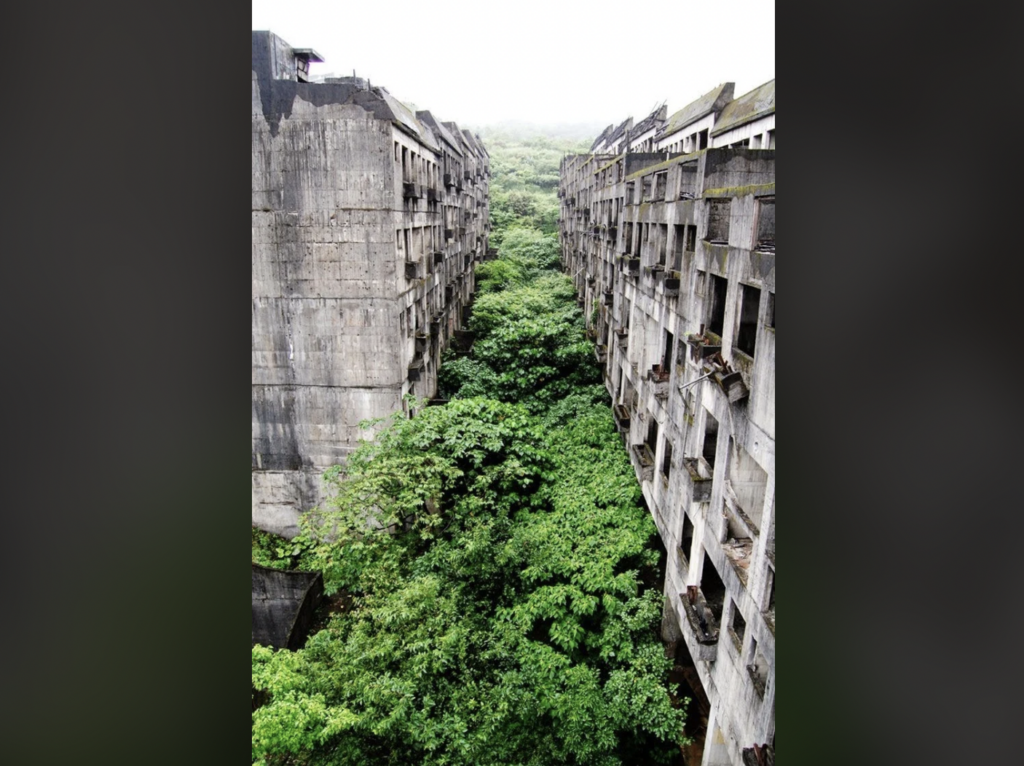 An abandoned urban complex features two rows of deteriorating concrete buildings covered in grime and vegetation, with a dense growth of trees and plants overtaking the space between them. The scene conveys nature reclaiming the man-made structures.