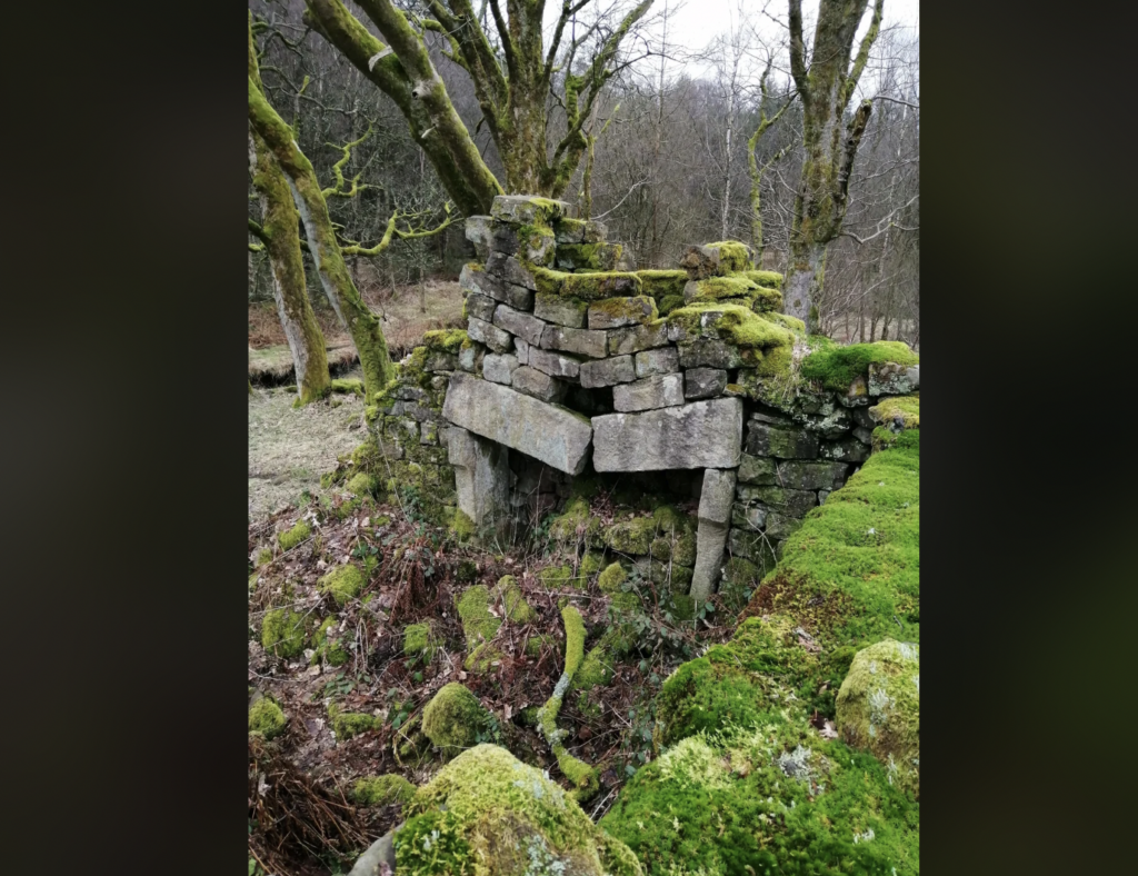 An old, moss-covered stone structure stands in a forest. The structure, partially collapsed and overgrown with greenery, appears to be the remnants of a small building or wall. Leafless trees surround the area, and the ground is blanketed with moss and foliage.