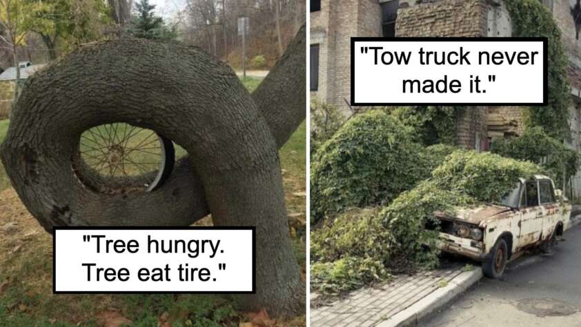 The image is divided into two parts. The left side shows a tree that has grown around a bicycle tire with the text "Tree hungry. Tree eat tire." The right side displays an old, abandoned car overgrown with plants, captioned "Tow truck never made it.