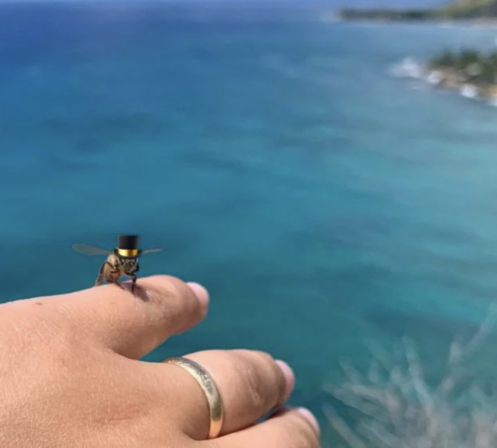 A close-up of a hand with a golden ring holding a bee wearing a small black top hat. In the background, there is a scenic view of the ocean with a distant coastline and blue sky.