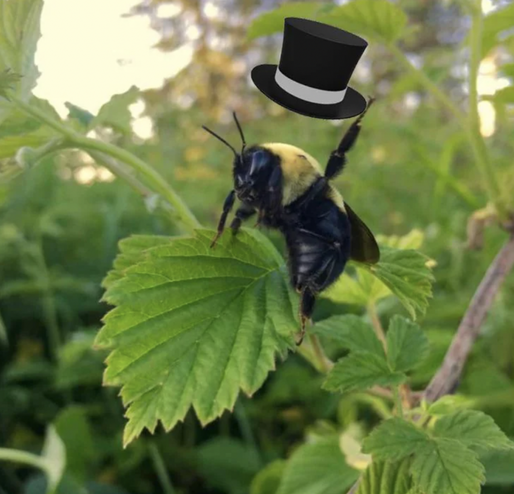 A bumblebee is perched on a green leaf, outdoors, in a natural setting with greenery in the blurred background. The bee is digitally adorned with a black top hat, giving it a whimsical, playful appearance.