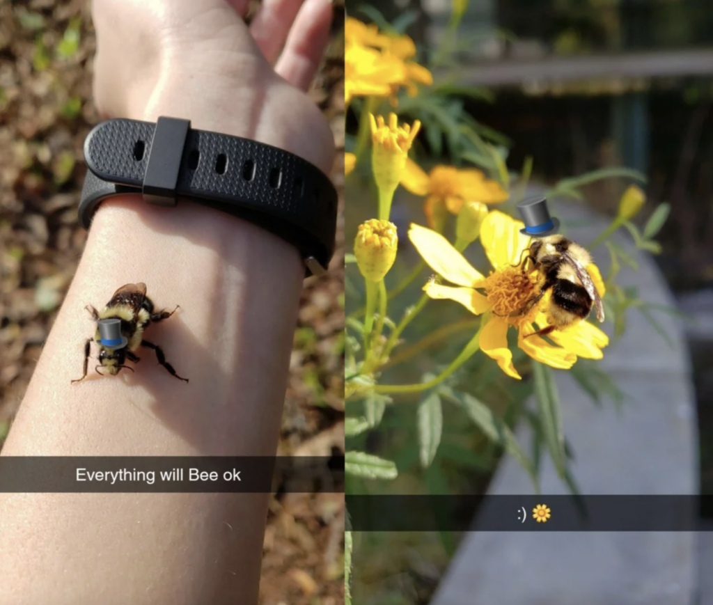 On the left, a bee with a tiny top hat sits on a person's arm wearing a black watch, accompanied by the text "Everything will Bee ok." On the right, the bee with the top hat is perched on a yellow flower, with a smiley face and sunflower emoji beneath it.