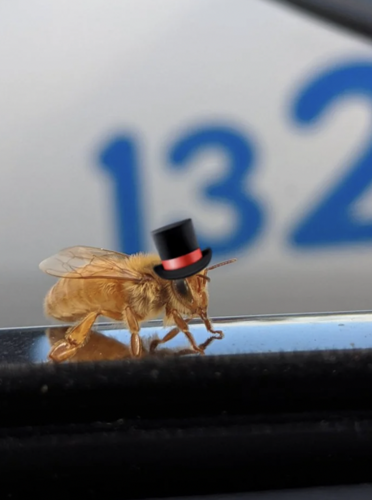 A close-up of a bee sitting on a reflective surface. The bee is wearing a small top hat with a red band. In the background, there are blurred blue numbers "132" against a white surface.