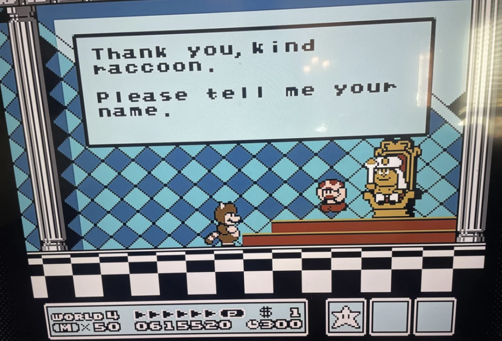 Screenshot from a classic video game featuring a dialogue box. The text reads, "Thank you, kind raccoon. Please tell me your name." The scene shows two characters with one dressed as a raccoon and a figure seated on a throne in a checkered room.