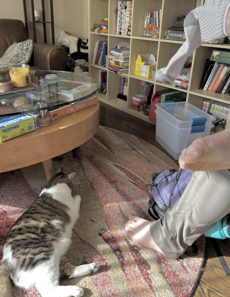 A cozy living room with a cluttered bookshelf and a wooden coffee table. A person sits in the foreground, their feet bare, while holding socks. A tabby cat lies on a colorful rug near the coffee table. Various books, games, and storage boxes are visible.