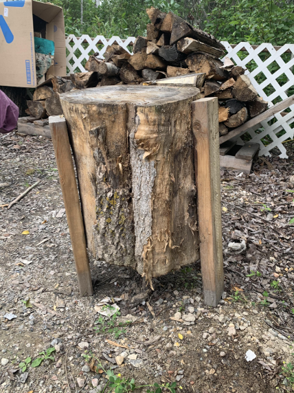 A large tree stump is elevated and secured between wooden supports, standing on a gravel surface. In the background, there is a pile of chopped firewood and a white lattice fence, with green foliage visible beyond. A blue-marked cardboard box is to the left.