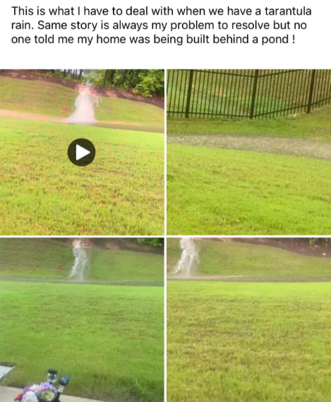 Image of a grassy landscape with multiple sections photographed. The top text reads, "This is what I have to deal with when we have a tarantula rain. Same story is always my problem to resolve but no one told me my home was being built behind a pond!" and shows water flooding.