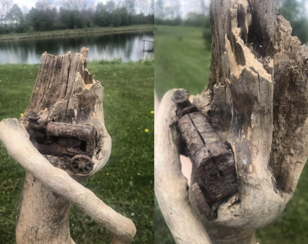 Two views of weathered, twisted driftwood intertwined with a rusted metal hinge, set against a grassy landscape with a pond in the background. The wood appears cracked and worn, complementing the rustic and natural aesthetic.