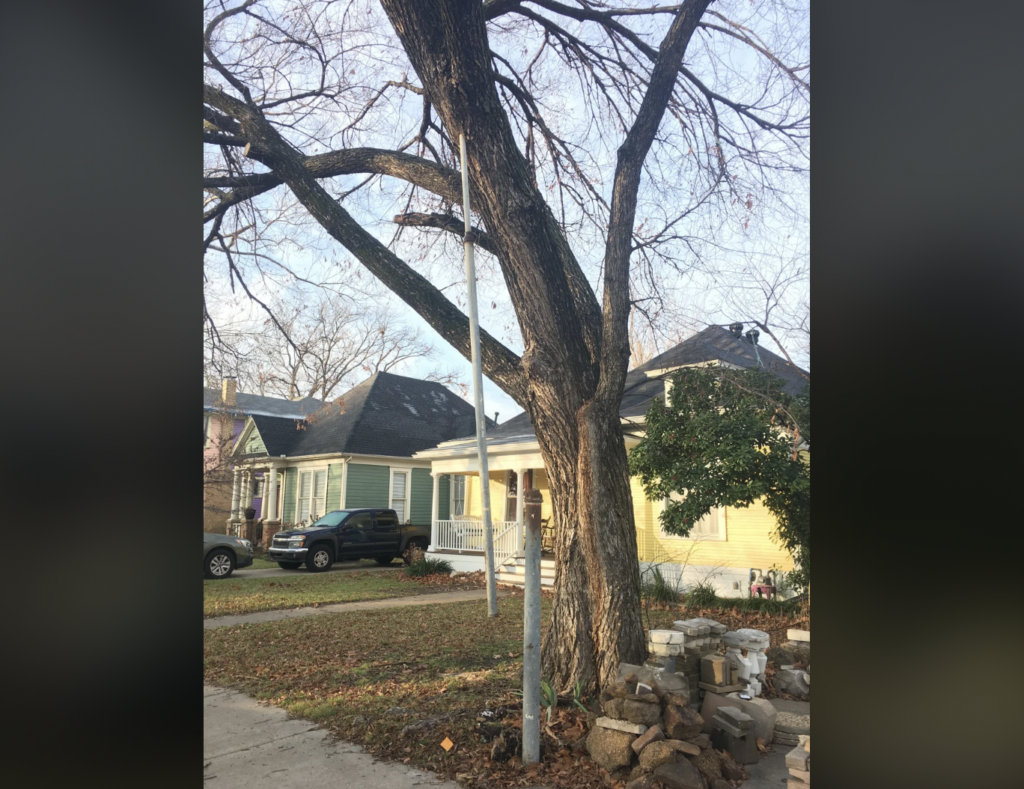 A large tree grows near the sidewalk, with a utility pole fixed to its trunk. Behind it, there are two houses with front porches, one green and one yellow. A black vehicle is parked in front of the green house, and a pile of bricks is stacked near the tree.