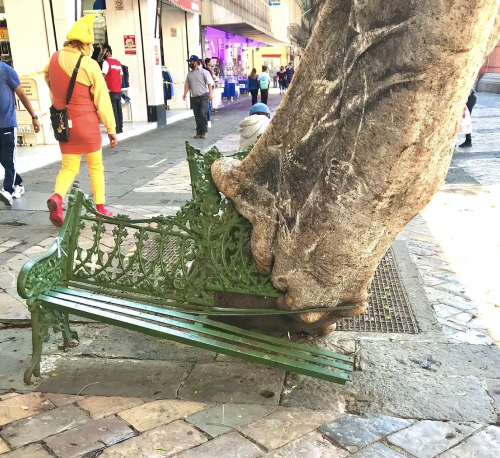 An old park bench is being overtaken by a large tree, with the tree's trunk and roots growing over the bench's backrest and seat, partially lifting it off the ground. People walk by in the background on a sunny day.