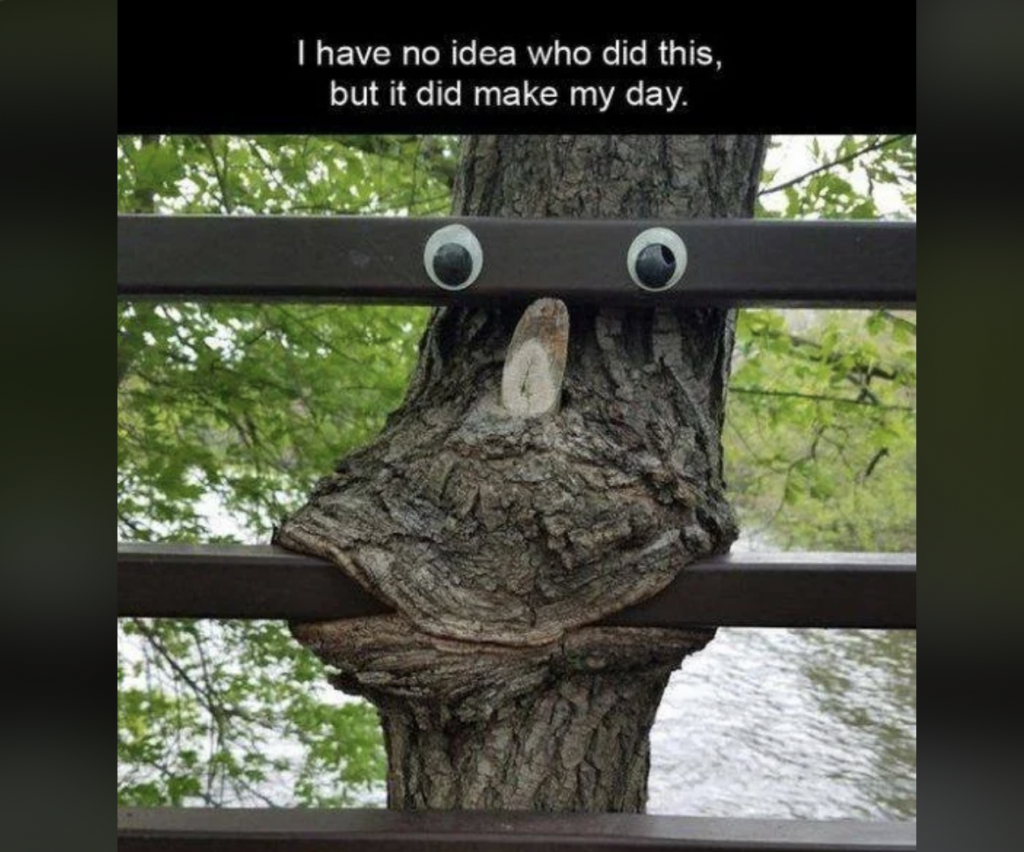 A tree with a large knot that resembles a smiling face is adorned with googly eyes and a rock for a nose, attached to a wooden fence. The overlay text reads, "I have no idea who did this, but it did make my day." The background shows leafy green trees and water.