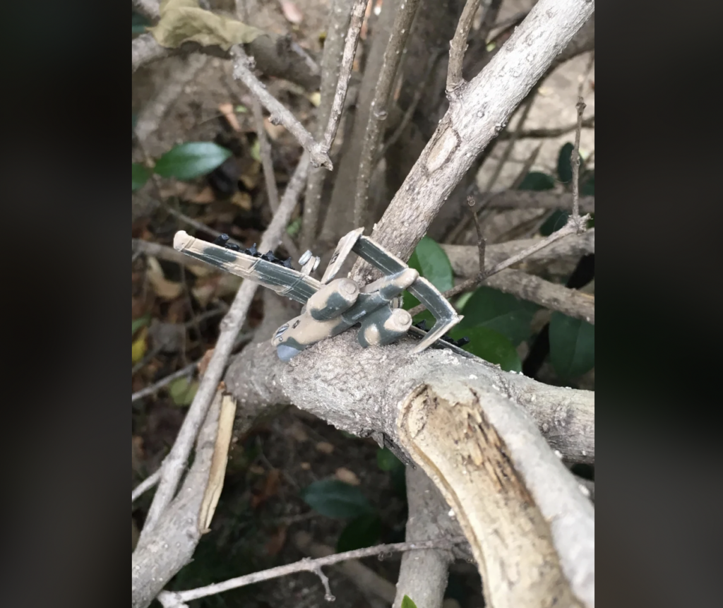 A praying mantis camouflaged in shades of gray and green rests on the branch of a tree. The blend of colors on the mantis matches the bark, making it almost indistinguishable from its surroundings. The background includes leaves and other branches.