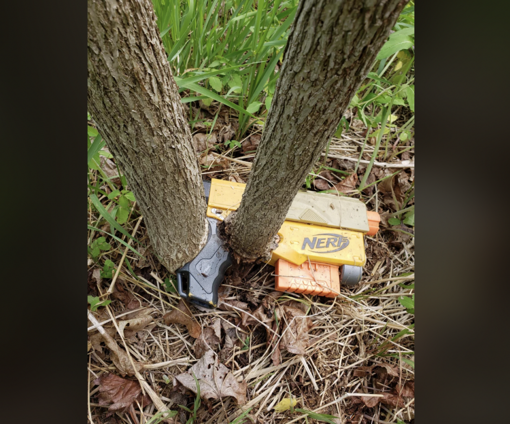 A yellow and orange Nerf toy gun is wedged vertically between two tree trunks in a grassy, wooded area. The gun is partially covered by leaves and grasses.