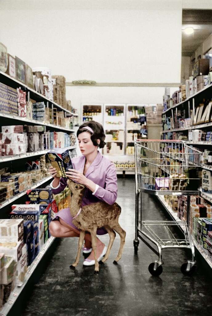 A woman dressed in a purple suit kneels down in a grocery store aisle, reading the back of a product box. A young deer stands beside her, also looking at the box. An empty shopping cart is placed to her right. The aisle is stocked with various boxed and canned goods.