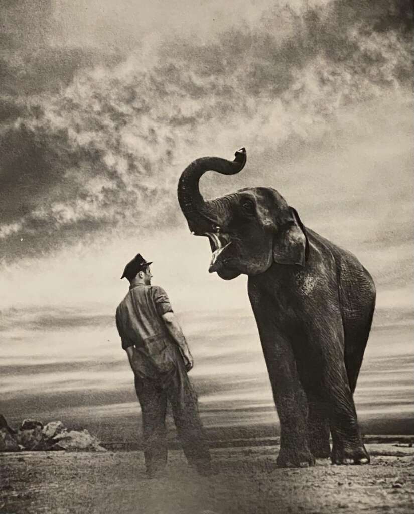 A grayscale image depicts a uniformed man standing near an elephant outdoors. The elephant, with its trunk raised towards the sky, faces the man. In the background, a dramatic sky with scattered clouds adds to the scene's visual impact.