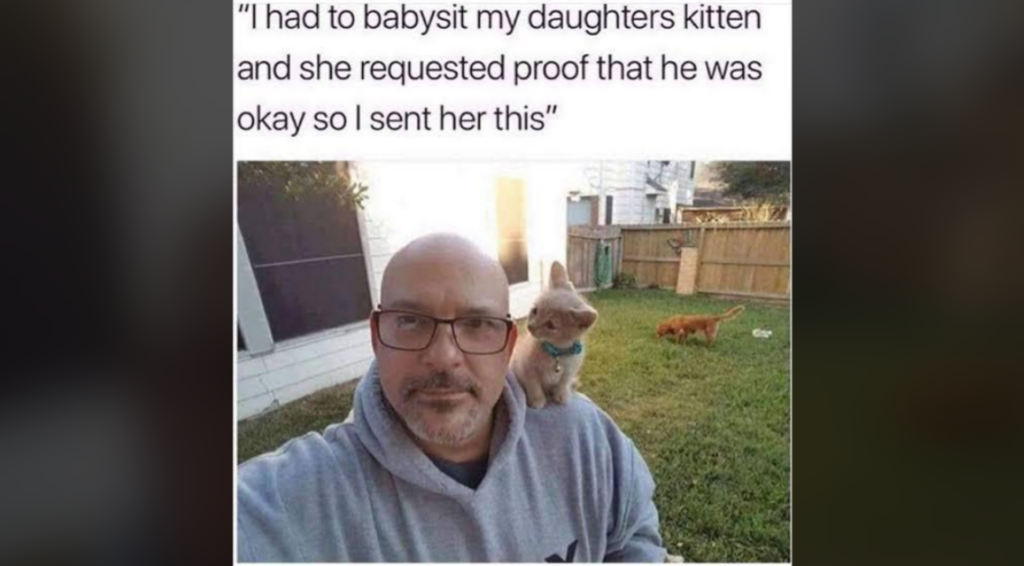 A man with a bald head and glasses is taking a selfie in his backyard while a small kitten sits on his shoulder. Another cat can be seen exploring the grass in the background. The image includes text that reads, "I had to babysit my daughter's kitten and she requested proof that he was okay so I sent her this.