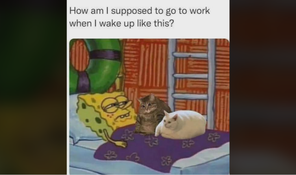 A meme featuring SpongeBob SquarePants lying in bed with a tired expression, accompanied by two cats on his blanket. The text at the top reads, "How am I supposed to go to work when I wake up like this?