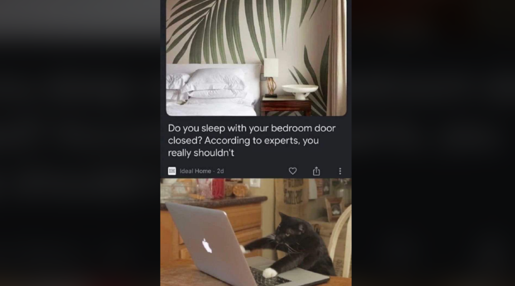 A cozy bedroom with leafy wallpaper and a neatly made bed is shown in the top panel. The bottom panel features a black cat sitting at a wooden table, appearing to use a laptop. The text reads: "Do you sleep with your bedroom door closed? According to experts, you really shouldn’t.