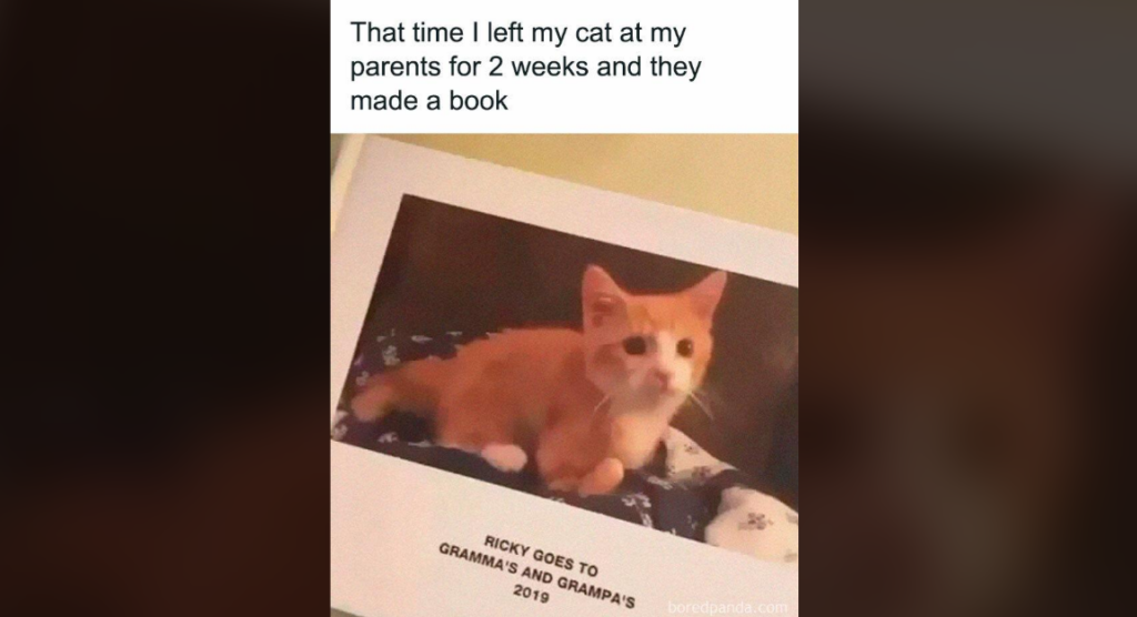 A picture of a cat in an open book with the caption at the top reading, "That time I left my cat at my parents for 2 weeks and they made a book." The book's title reads, "RICKY GOES TO GRAMMA'S AND GRAMPA'S 2019," featuring a photo of an orange and white kitten.