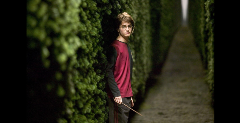 A person with glasses and a wand stands in a narrow, dark pathway between high hedges, wearing a maroon and black long-sleeved top. The path extends into the distance, surrounded by dense greenery.