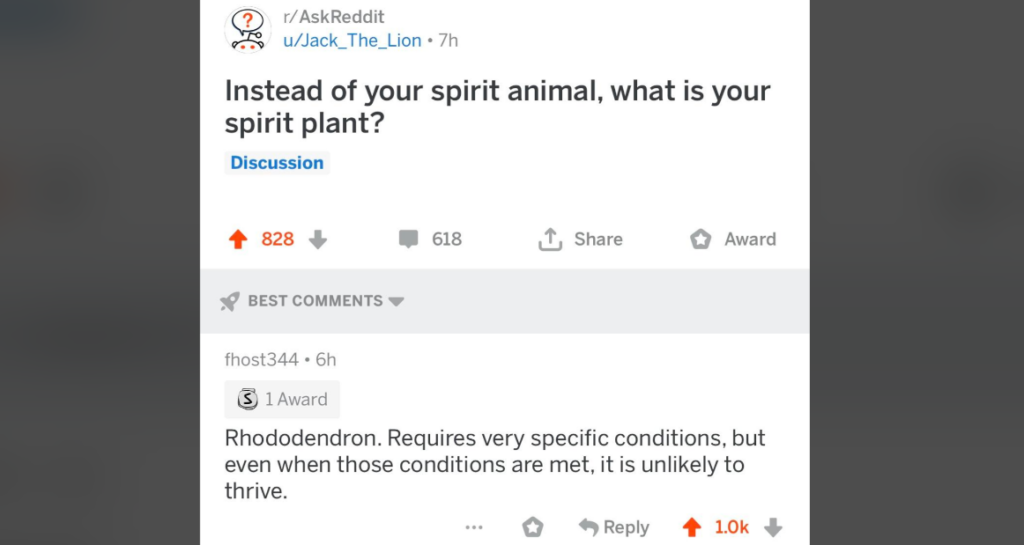 A Reddit post from the subreddit r/AskReddit poses the question, "Instead of your spirit animal, what is your spirit plant?" A comment by user fhost344, saying, "Rhododendron. Requires very specific conditions, but even when those conditions are met, it is unlikely to thrive," has 1.0k upvotes and a silver award.