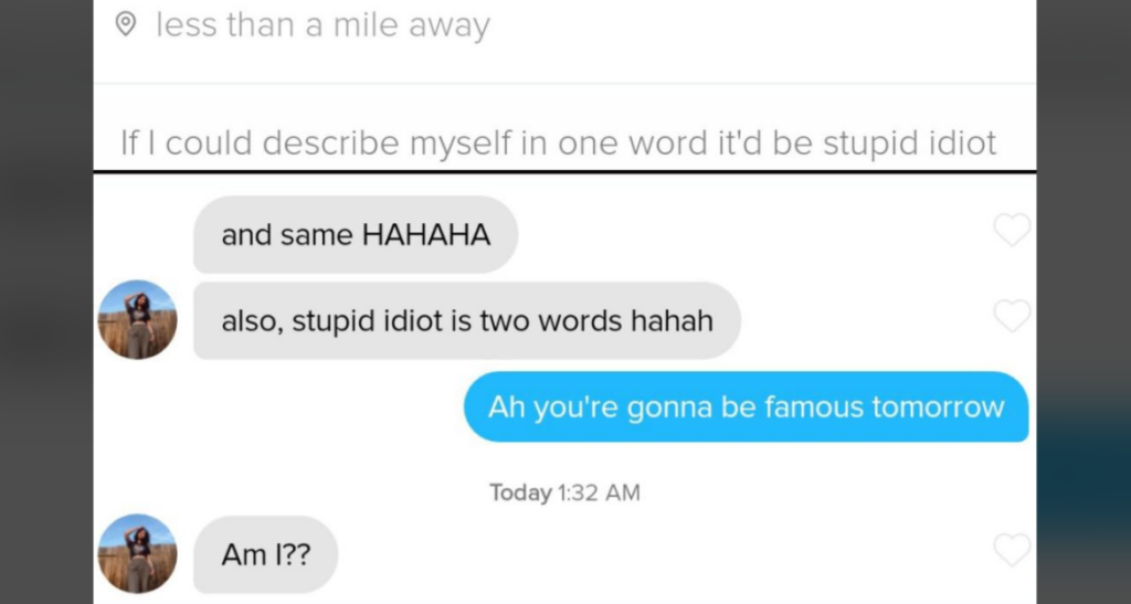 A chat conversation between two people. One person describes themselves as a "stupid idiot." The other person points out that "stupid idiot" is two words, to which the first person responds that they will be famous tomorrow. The second person asks, "Am I??