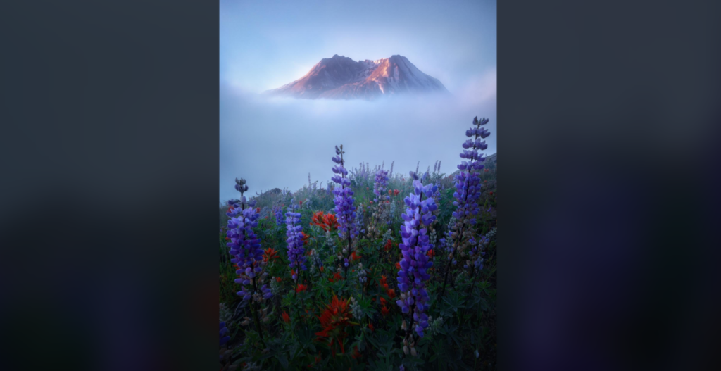 A serene landscape featuring a majestic mountain peak shrouded in mist. In the foreground, vibrant wildflowers in shades of purple, red, and orange bloom, adding color to the lush greenery. The scene is calm with a soft light illuminating the mountain.