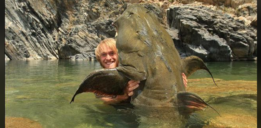 A person standing in waist-deep water, holding a large, flat-headed fish with wide fins. The rocky terrain and cliffs are visible in the background under sunny weather. The person has a smile on their face, and the fish appears to be almost as big as the person.