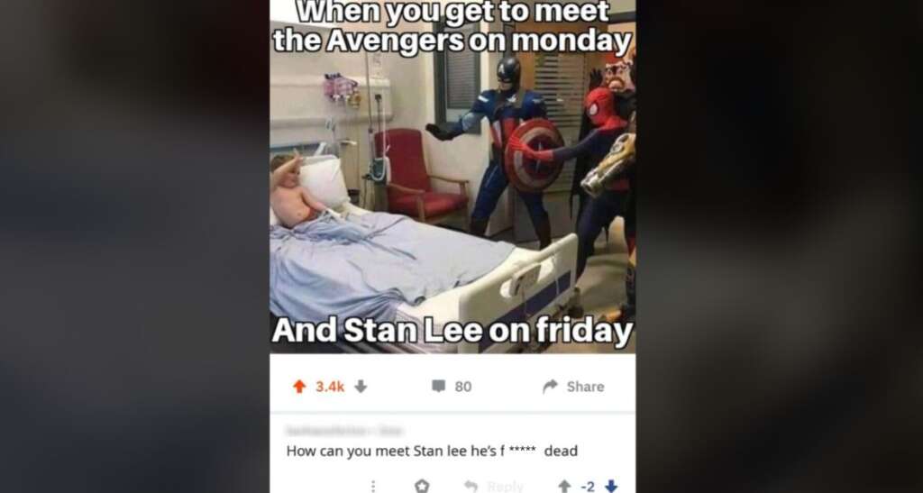 A meme shows a person in a hospital bed with costumed superheroes, including Captain America and Spider-Man, with the caption: "When you get to meet the Avengers on Monday." Below that, a graveyard with the caption: "And Stan Lee on Friday." A Reddit comment expresses disbelief.