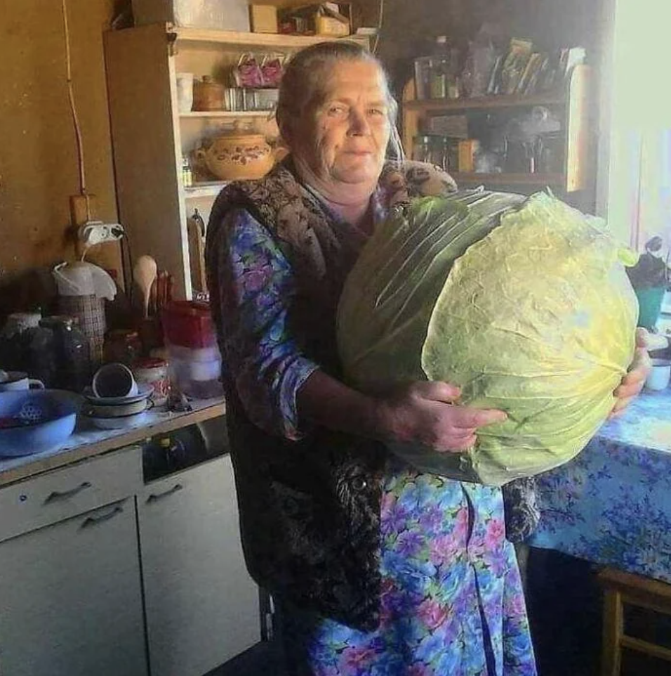 An elderly woman with gray hair, wearing a patterned dress and vest, stands in a kitchen holding an exceptionally large cabbage. Behind her, there are various kitchen items, shelves, and a window letting in natural light.