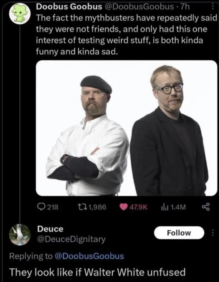 Image showing a tweet by "@DoobusGoobus" that reads, "The fact the Mythbusters have repeatedly said they were not friends, and only had this one interest of testing weird stuff, is both kinda funny and kinda sad." A reply below says, "They look like if Walter White unfused.