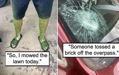 An image of a man with legs covered in grass next to an image of a car with a broken windshield.