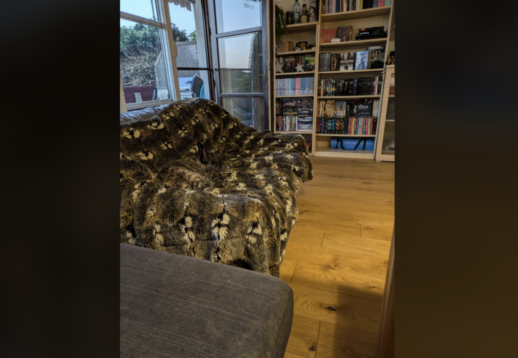 A cozy indoor scene with a plush, patterned blanket draped over a couch. Behind the couch is a large bookcase filled with books and various items. A gray cushioned piece of furniture is visible in the foreground. Light wooden floor and window in the background.