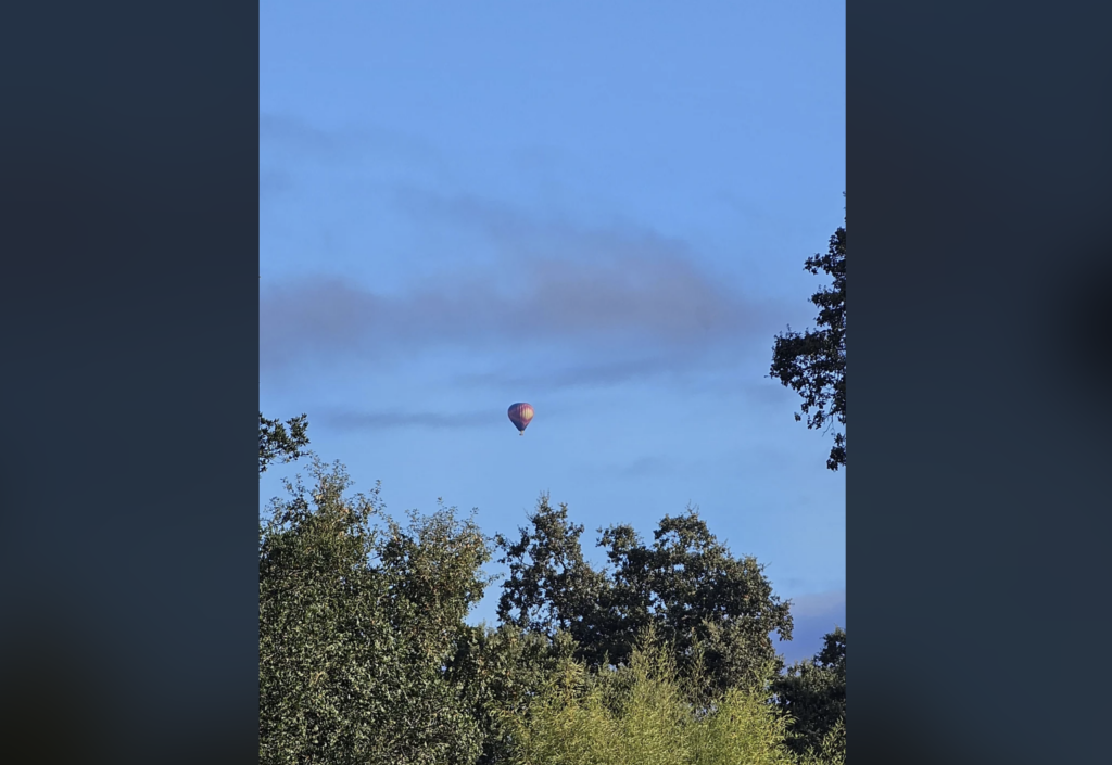 A hot air balloon floats high in the clear blue sky. The balloon, slightly to the left of center, is surrounded by the green tops of trees. Wisps of clouds stretch horizontally across the sky behind the balloon.