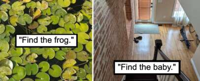 Split image with text "Find the frog." on the left showing a pond covered in lily pads, and "Find the baby." on the right showing an indoor staircase with a wooden floor and some shoes near the entrance.