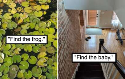 Split image with text "Find the frog." on the left showing a pond covered in lily pads, and "Find the baby." on the right showing an indoor staircase with a wooden floor and some shoes near the entrance.