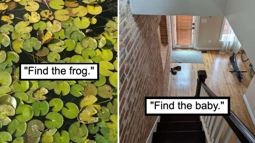 Split image with text "Find the frog." on the left showing a pond covered in lily pads, and "Find the baby." on the right showing an indoor staircase with a wooden floor and some shoes near the entrance.