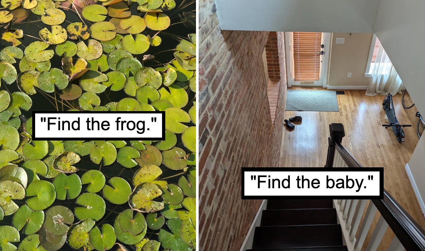 Split image with text "Find the frog." on the left showing a pond covered in lily pads, and "Find the baby." on the right showing an indoor staircase with a wooden floor and some shoes near the entrance.