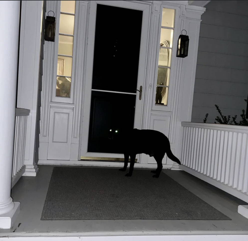 A black dog stands on a grey doormat in front of a closed front door at night. The dog's eyes reflect the light, creating a glowing effect. The entryway is illuminated from inside the house, highlighting white columns and railings on the porch.