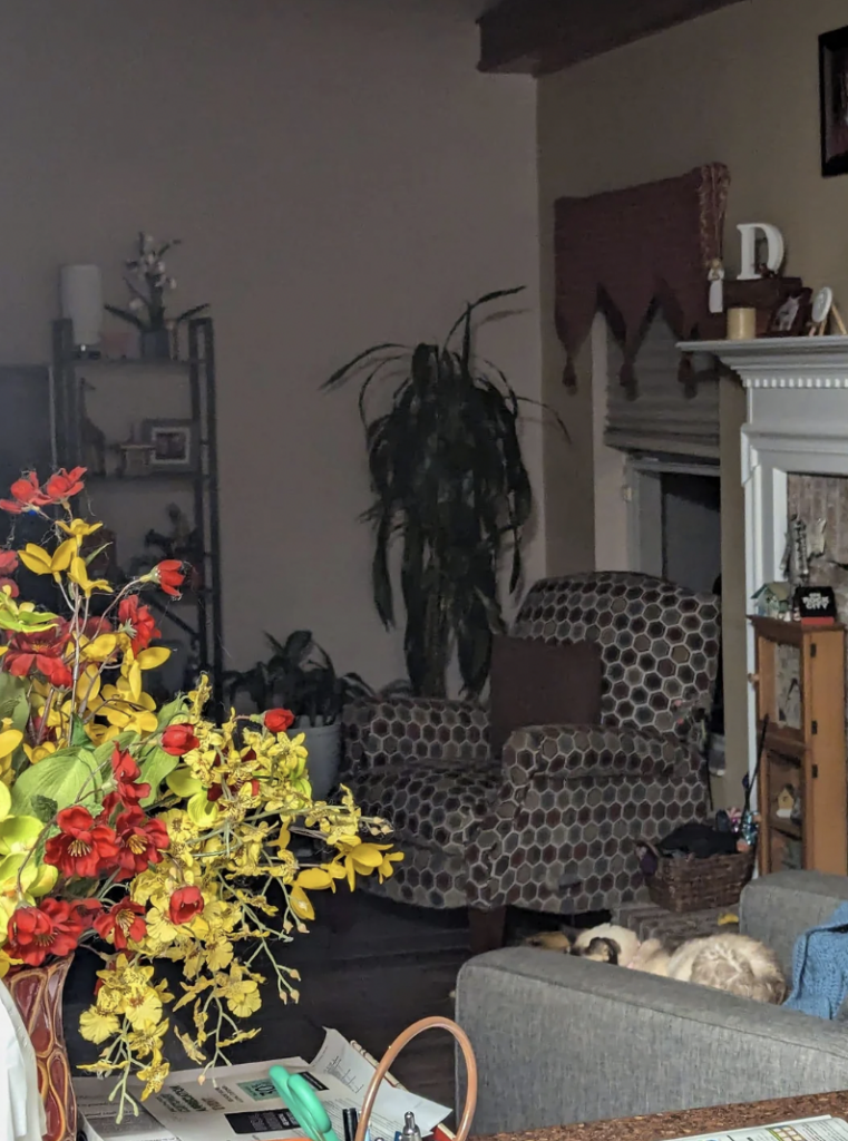 A cozy living room with a fireplace. A potted plant is in the corner near a polka-dotted armchair. A vase with yellow and red flowers is on a table in the foreground. A small white cat is sleeping on a gray couch. Shelving with decorations is visible in the background.